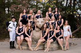 Image result for sapphire twirlstars