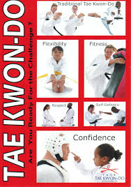 Image result for Hed Tkd (Dorking Tae Kwon-Do)