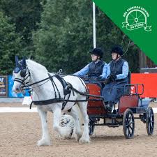 Image result for Riding For The Disabled Association