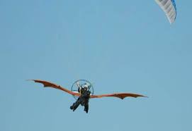 Image result for HAINAULT & CHIGWELL CHANGQUAN FLYING DRAGON