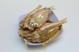 Image result for ikan