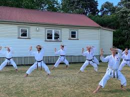 Image result for Devonport Shotokan Karate Club