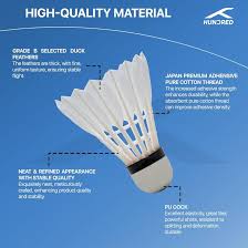 Image result for Flukey Feathers Badminton Club