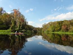 Image result for Slough Pirates