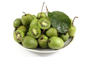 Attēlu rezultāti vaicājumam “Actinidia kolomikta fruit”