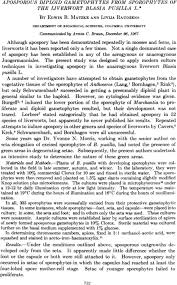 Attēlu rezultāti vaicājumam “Blasia pusilla sporophyte”