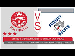 Image result for Sudbury Hockey Club