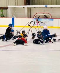 Image result for Alexandra Palace Amateur Ice Skating Club