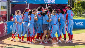 Image result for Lions Softball Club