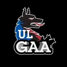 Image result for University Of Limerick Gaa Hurling Club