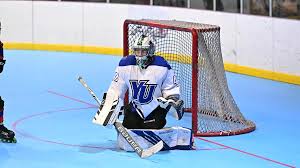 Image result for Walsall Roller Hockey Club