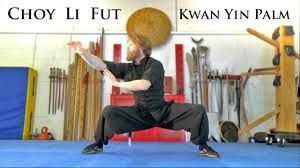 Image result for Tao So Choy Kung Fu Club, Hull