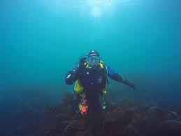 Image result for Lutterworth Sub-Aqua Club