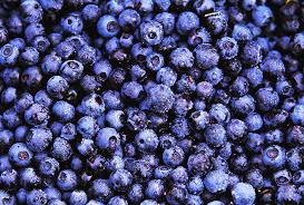 Attēlu rezultāti vaicājumam “Vaccinium myrtillus fruit”