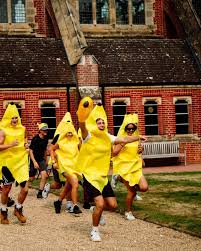 Image result for Guildford Sc