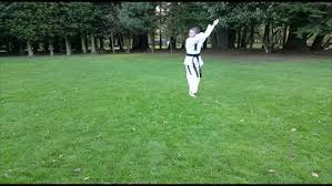 Image result for Bellshill Tae Kwon-Do
