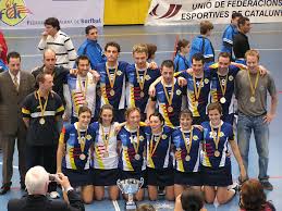Image result for Castle Korfball Club