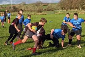 Image result for Dumfries Rugby Football Club