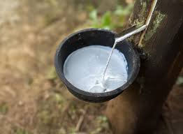 Image result for latex