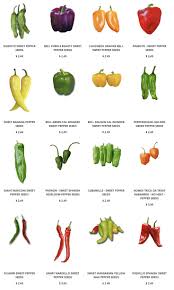 Afbeeldingsresultaat voor marconi golden sweet pepper