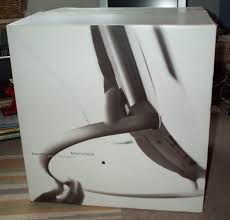 Image result for Twentieth Anniversary Macintosh