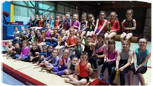 Image result for Kestrel Gymnastic Group