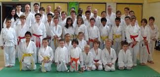 Image result for Epsom & Ewell Karate Club