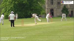 Image result for Grayshott Cricket Club