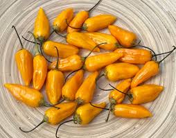 Afbeeldingsresultaat voor aji habanero hot pepper