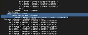 Image result for %82%C4%82%A1%82%F1%82%AD%82%E9