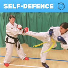 Image result for Surrey Taekwondo