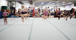 Image result for Angmering School Of Gym