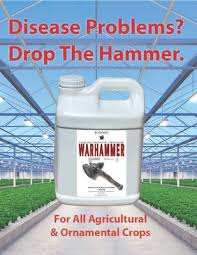 Image result for agrobellon tehron