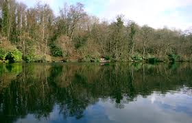 Image result for Guildford Angling Society