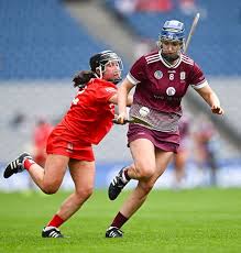 Image result for Green Isle Camogie Club - Players Wanted!
