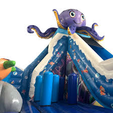 Image result for Leeds Free Divers Octopush Club