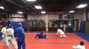 Image result for widnes judo