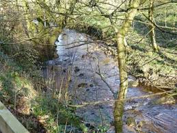 Image result for Diggle Angling Club