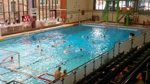 Image result for Walsall Artistic Swimming Club