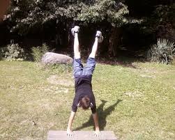 Image result for Parkour Alliance