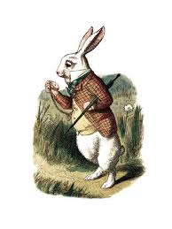 Image result for alice in wonderland rabbit