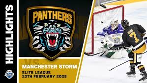 Image result for Nottingham Panthers