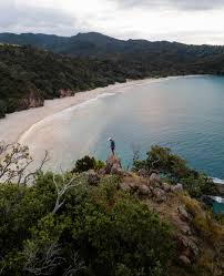 Image result for new chums beach