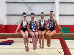 Image result for Colchester School Of Gymnastics