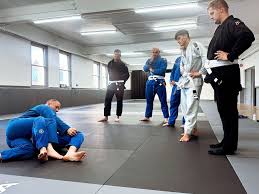 Image result for Mansfield Constrictors Grappling Academy