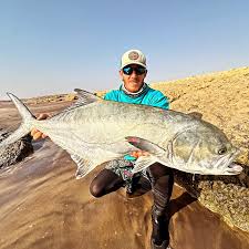 Image result for Lichia amia