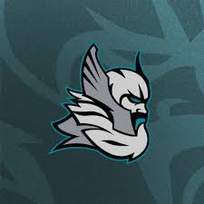 Image result for Milton Keynes Thunder