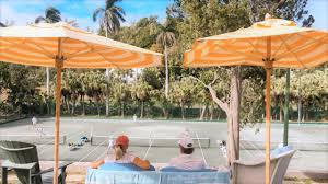 Image result for Charmouth Lawn Tennis Club