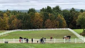 Image result for Ecurie Barnton