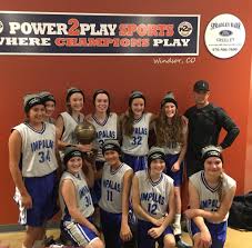 Image result for Elmbridge Girls Basketball Club